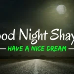 Good night shayari in india