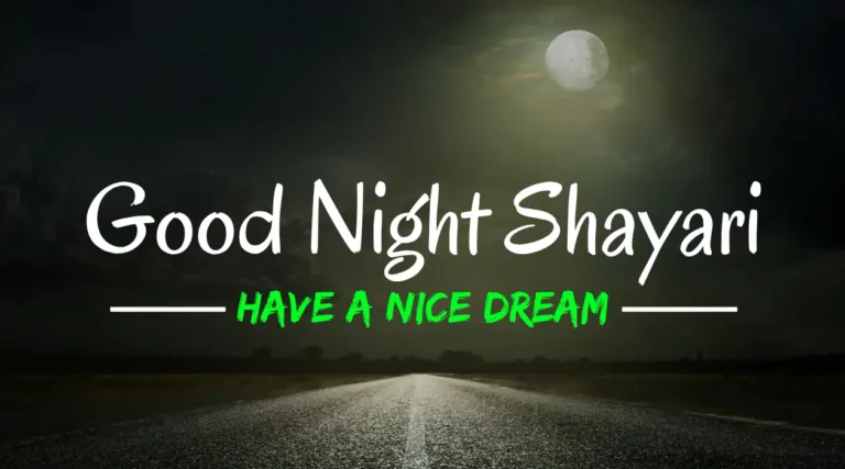 Good night shayari in india