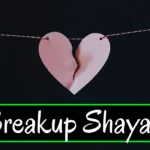 2 line breakup shayari - Breakup status
